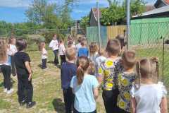 IMG-3a609b8806590db619ddc6ba8113f950-V